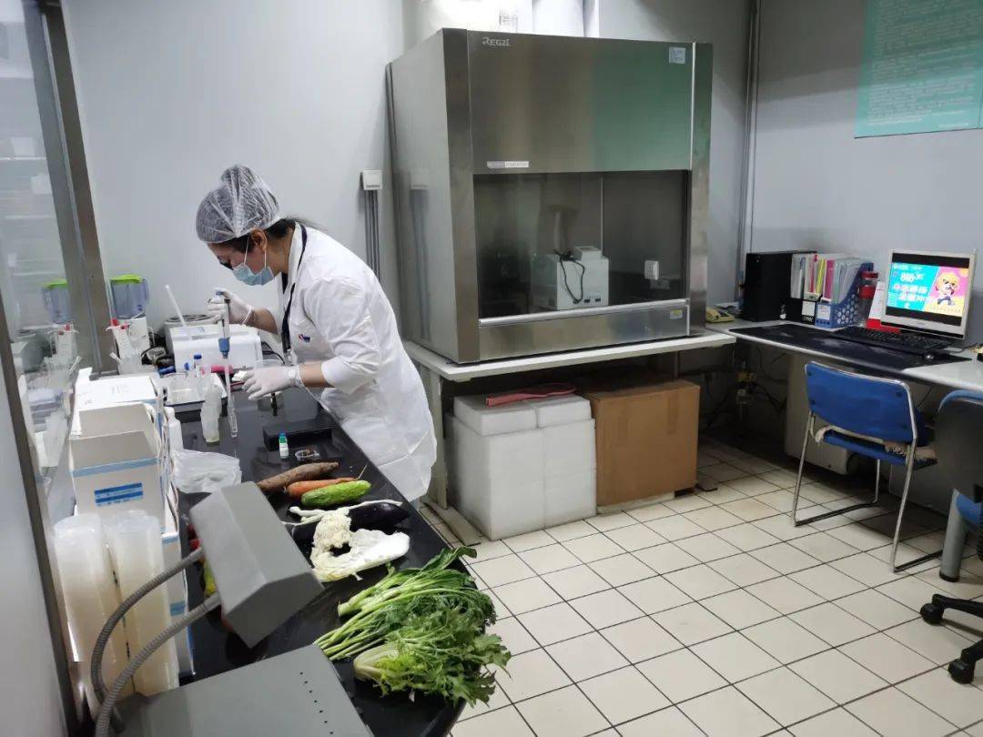 福贡食品检测实验室装修方案